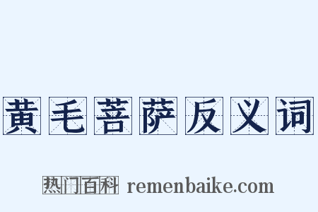 黄毛菩萨反义词是什么意思的图片